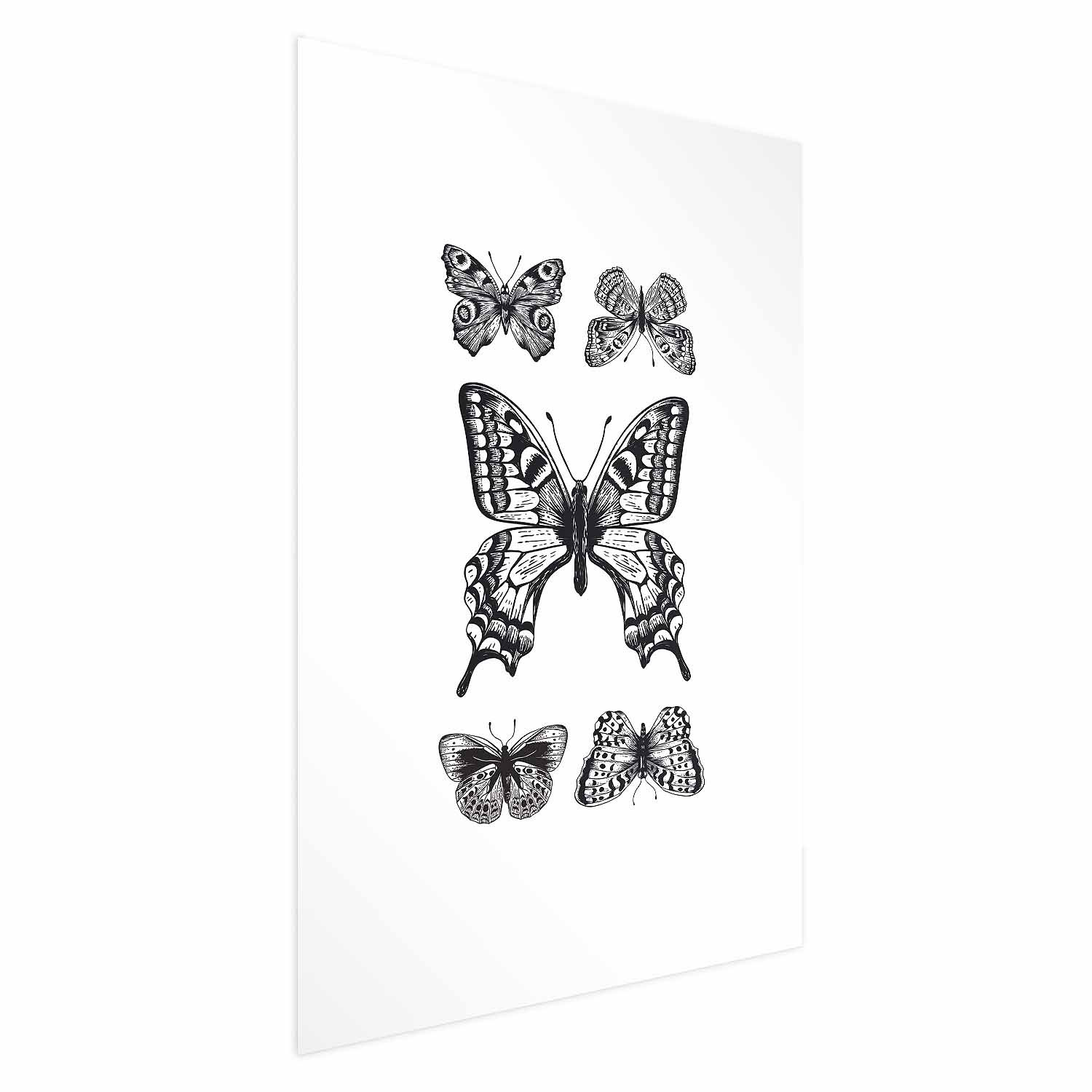 Plakat Pięć motyli 21x30 cm