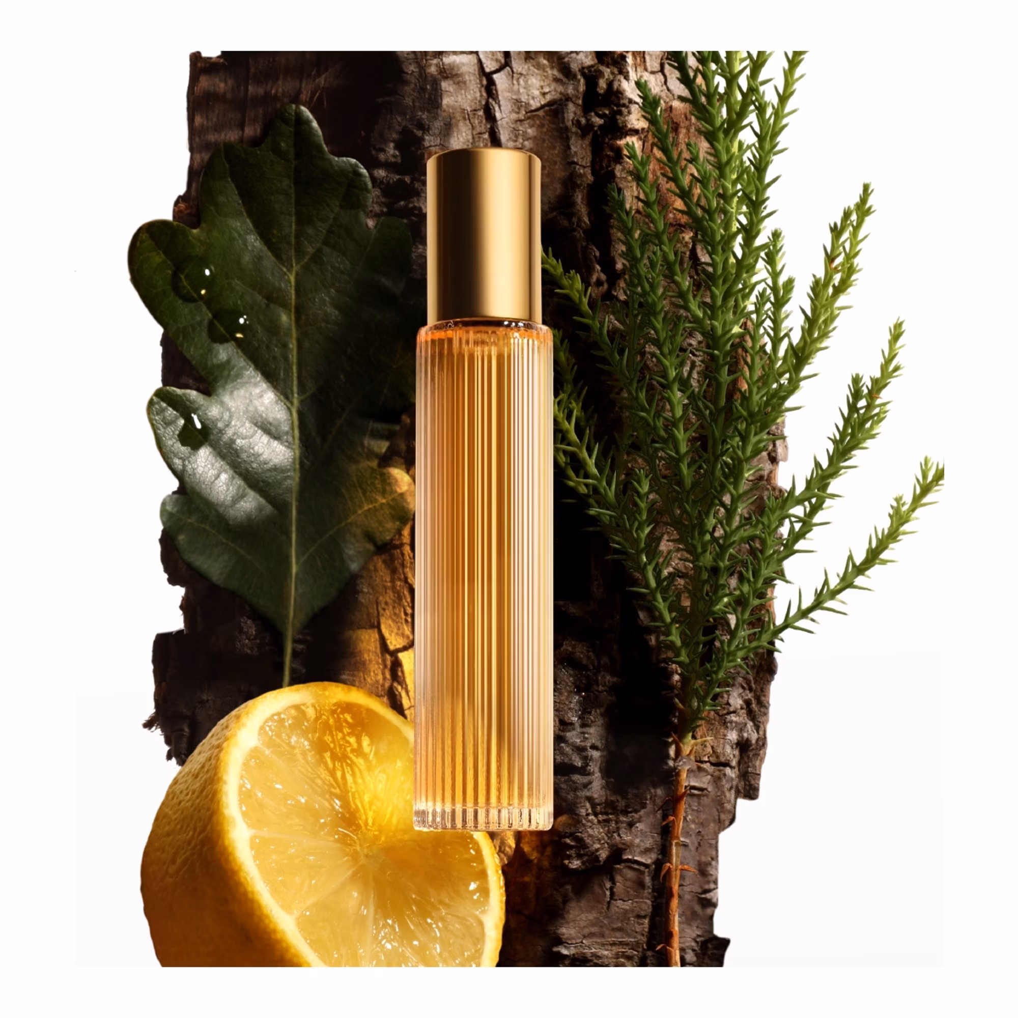 COSTA AZZURAEau de parfum