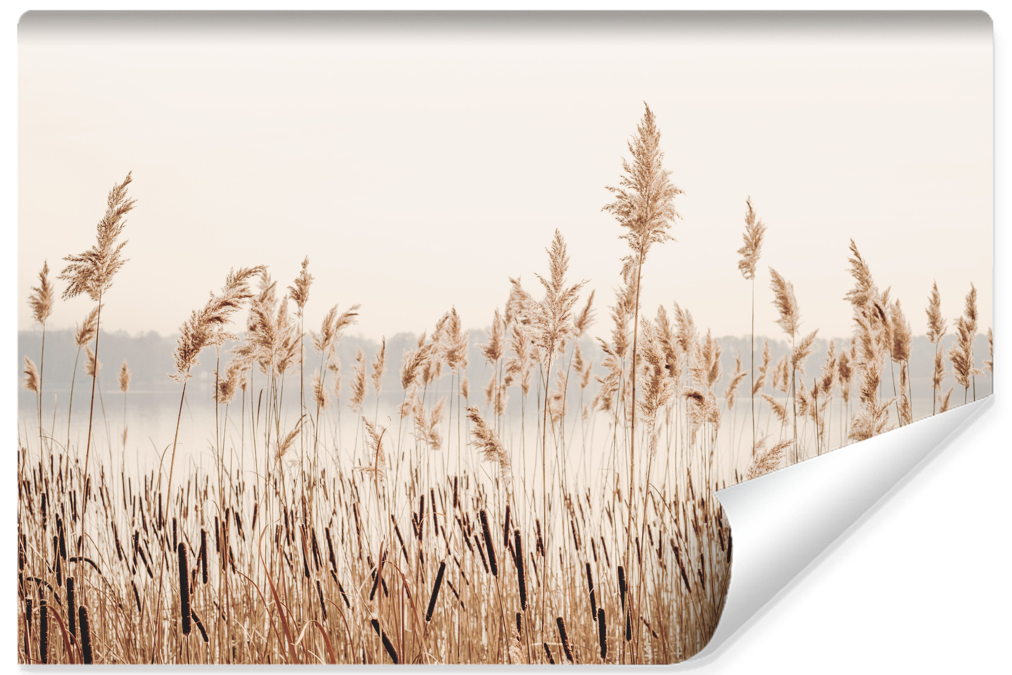 Fototapeta Trzciny Przy Spokojnym Jeziorze 135x90cm