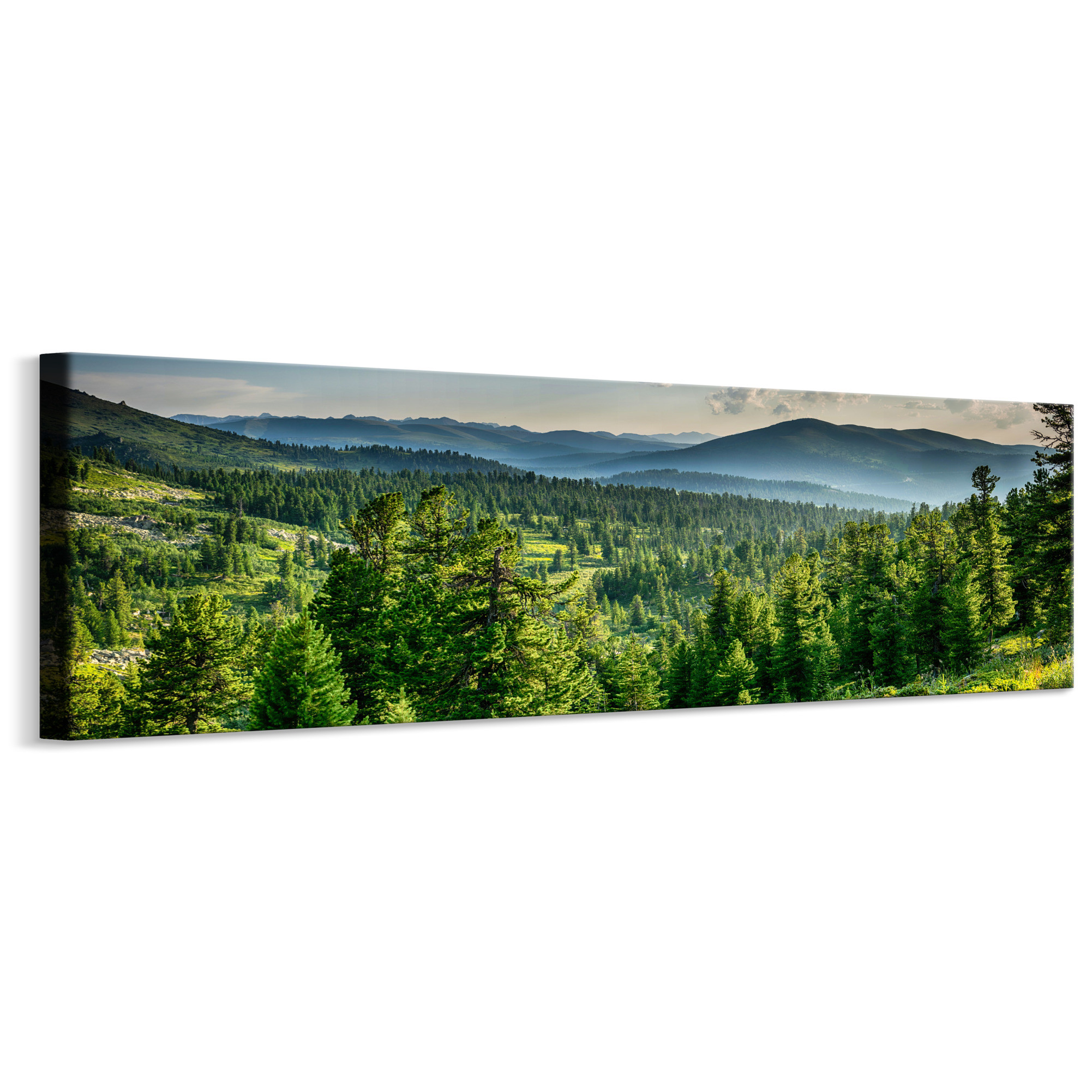 Obraz Panoramiczny Leśny Krajobraz 145x45cm