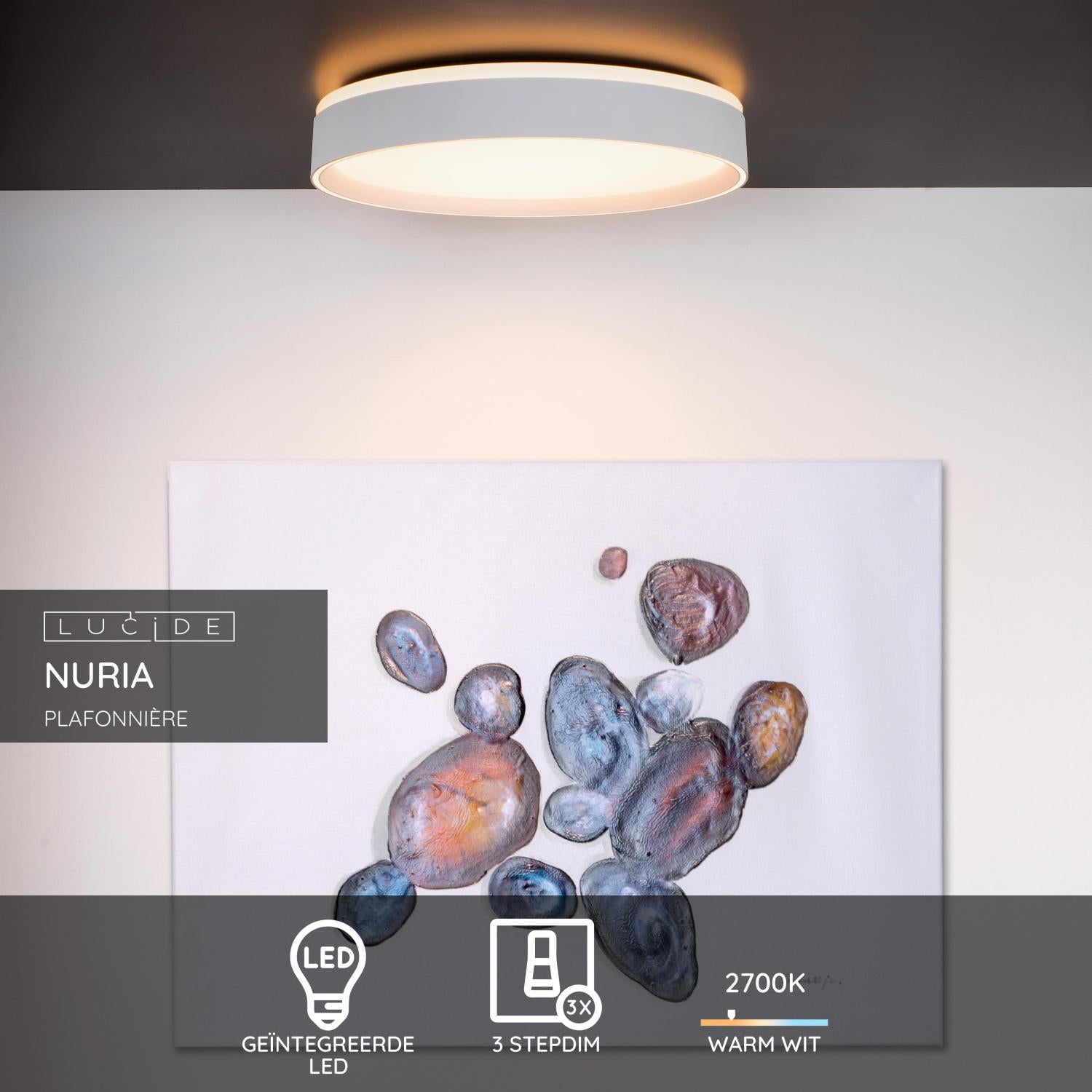 Nuria plafondlamp LED Ø40 wit