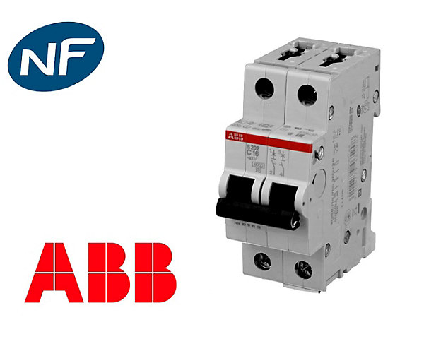 Disjoncteur Modulaire ABB 10A 2P S202-C10