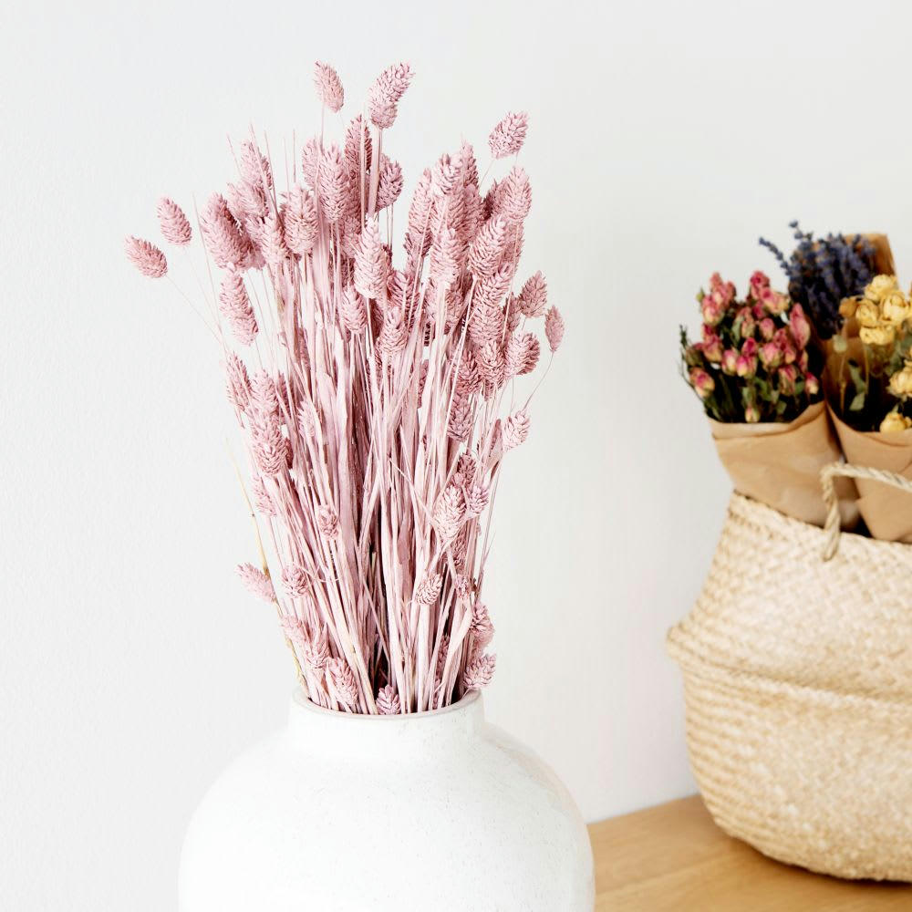 - Bouquet de phalaris rose séché