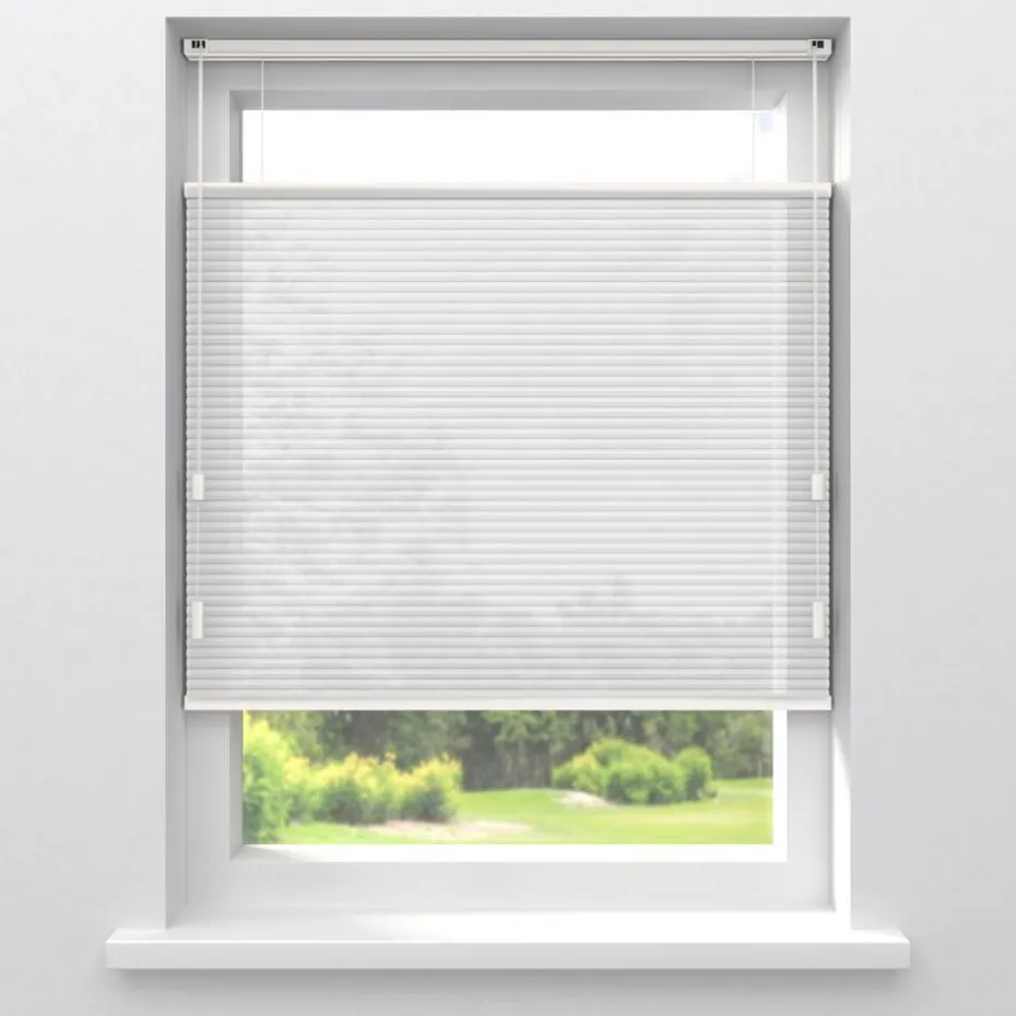 Kwantum Plisségordijnen | Fenstr Dubbel Plissé Lizzy  Lichtdoorlatend Wit