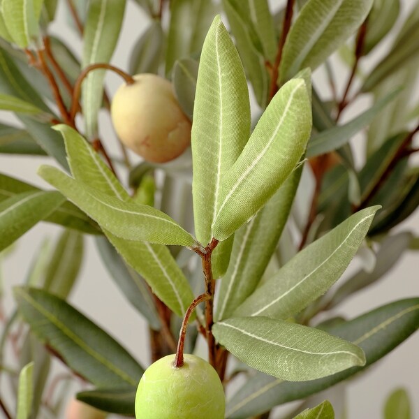 SAFAVIEH Faux Olive Potted Tree - 11.8" W x 11.8" L x 36.2" H
