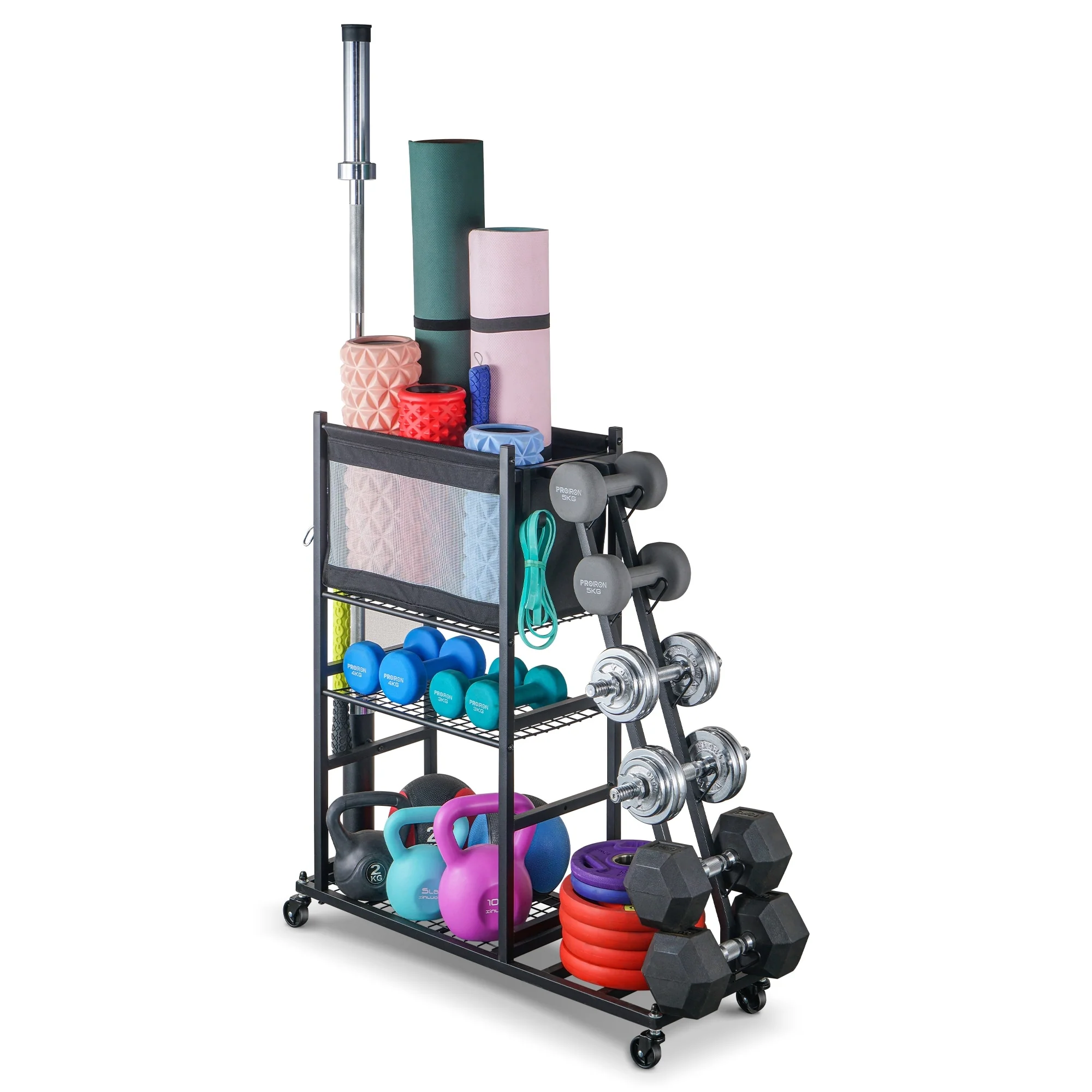 Sport Rack Dumbbell Rack Ball Organization and Storage