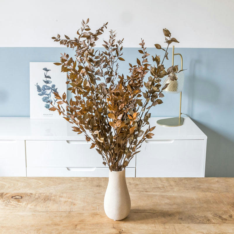 - Bouquet de fleurs séchées Ruscus brun