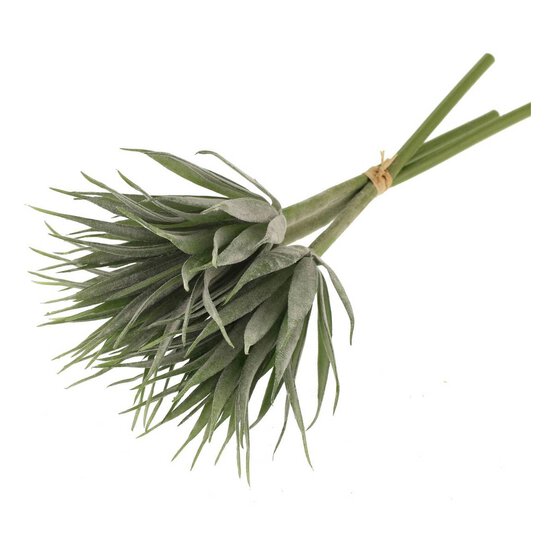 Flocked Crassula Bundle 3 Pieces