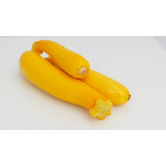 Zucchini Cucurbita pepo »Sebring«, gelb