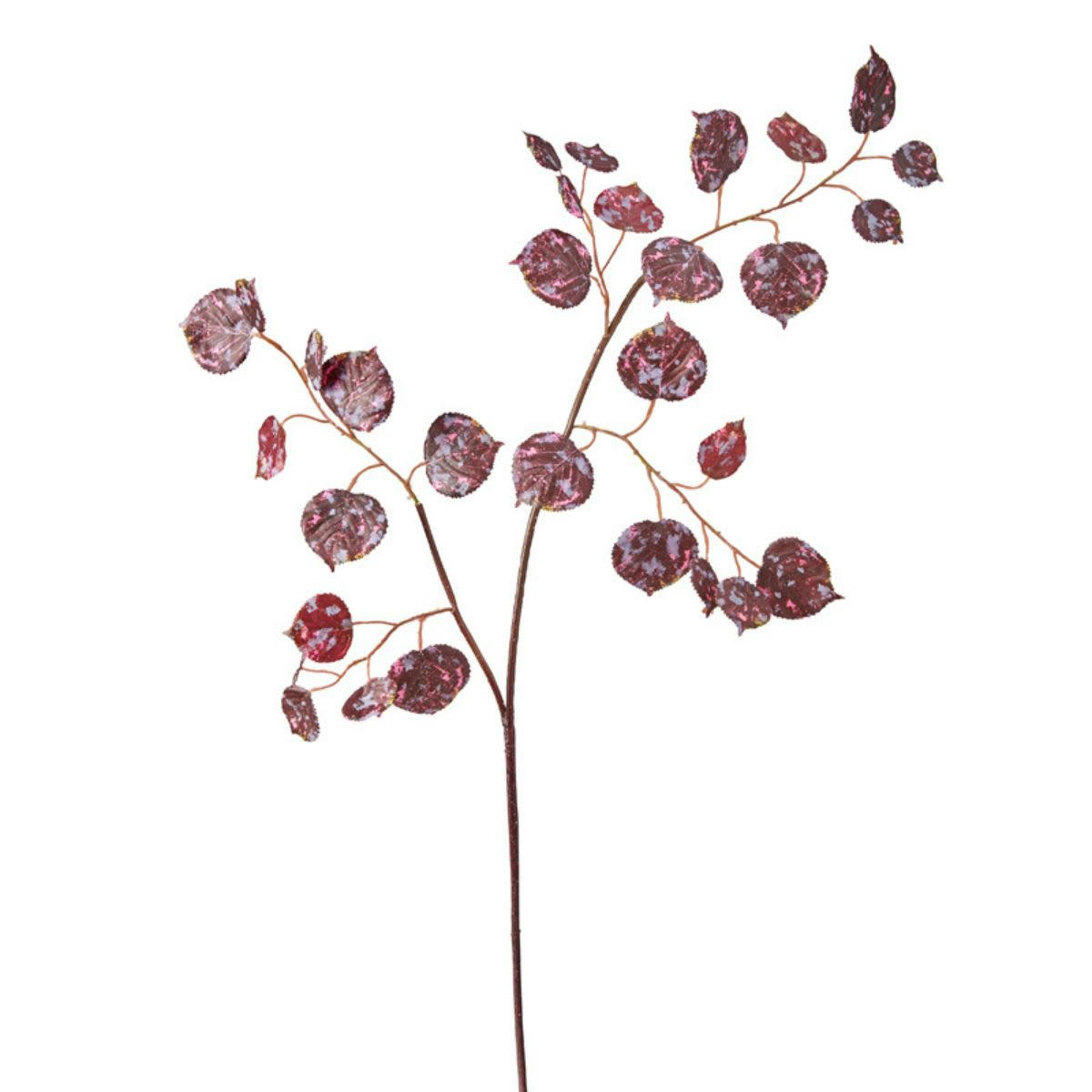 FANTASIA - Feuillage fantaisie h94