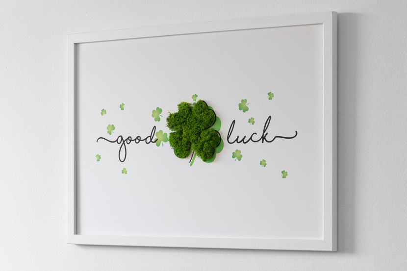 Obraz z mchem - "Good Luck" koniczyna 60x40 cm Biała Rama