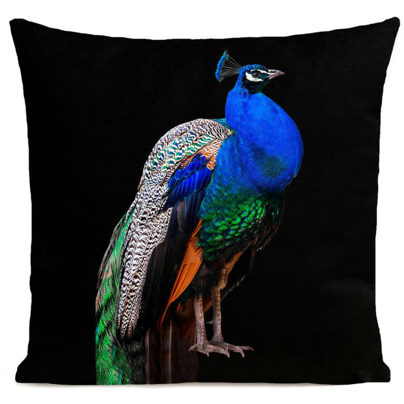 - Coussin campagne paon velours noir 40x40cm