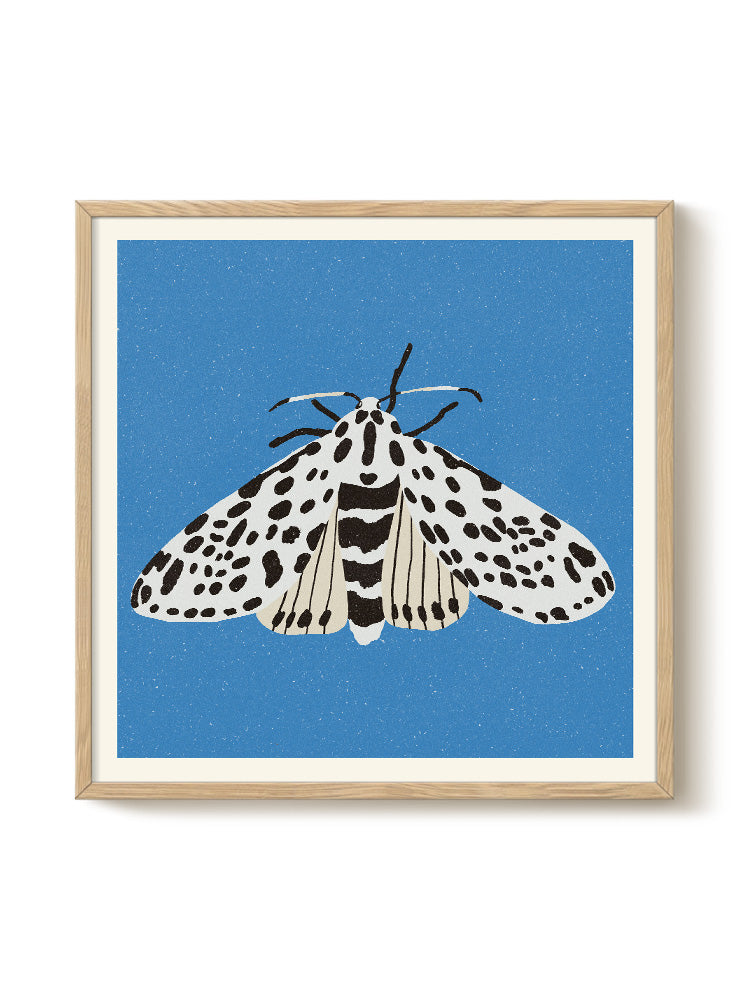 Enikő Eged - Tiger Moth - PSTR studio Kunst Poster