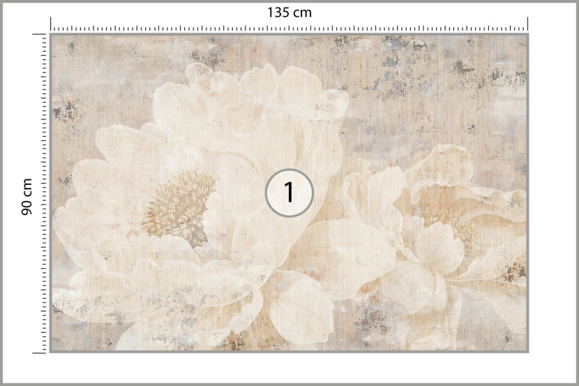 Fototapeta Kwiaty na betonowej ścianie 135x90cm