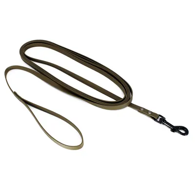 Home search leash BioThane, olive