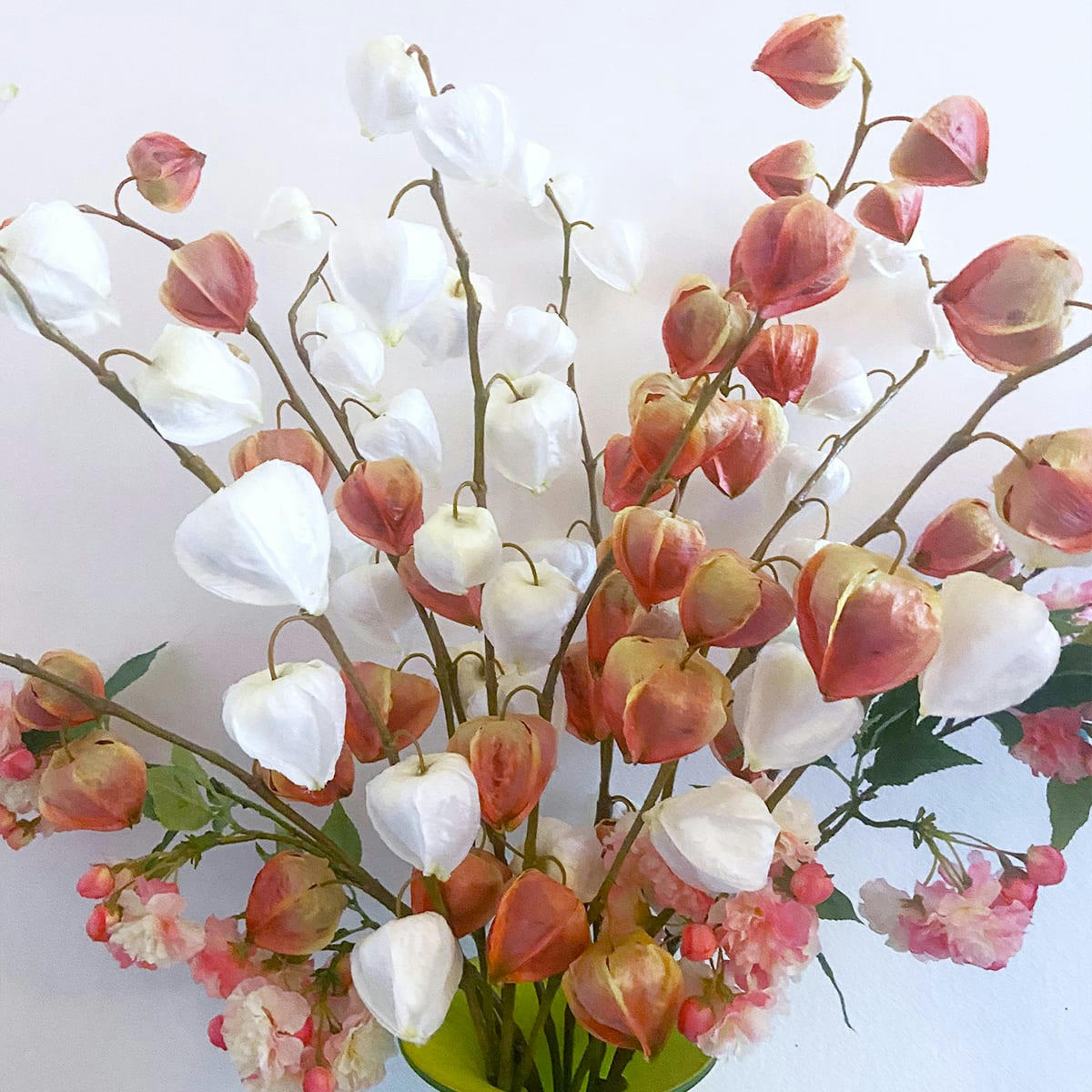 MARLY - Physalis Marly H54cm