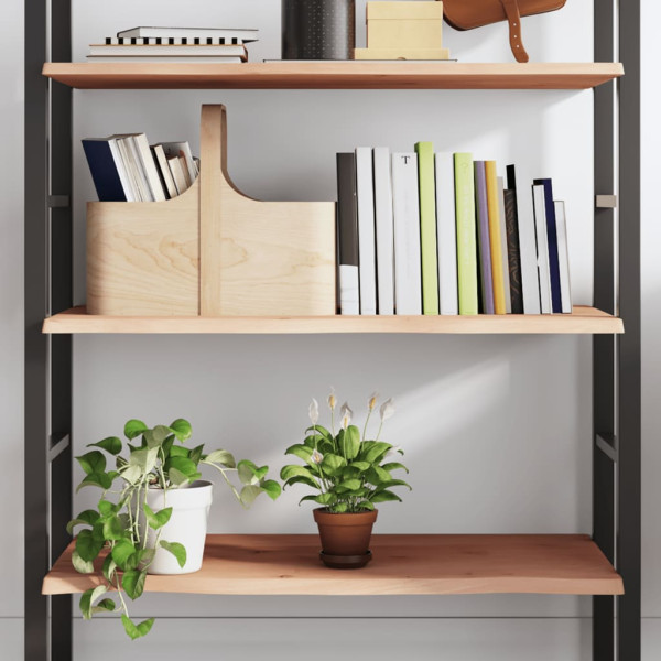 VidaXL Półka 100x40x2 cm surowe