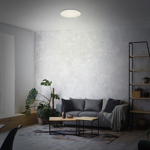 LED-Deckenleuchte »RUPA«, ø: 53 cm, 48 W, 230 V
