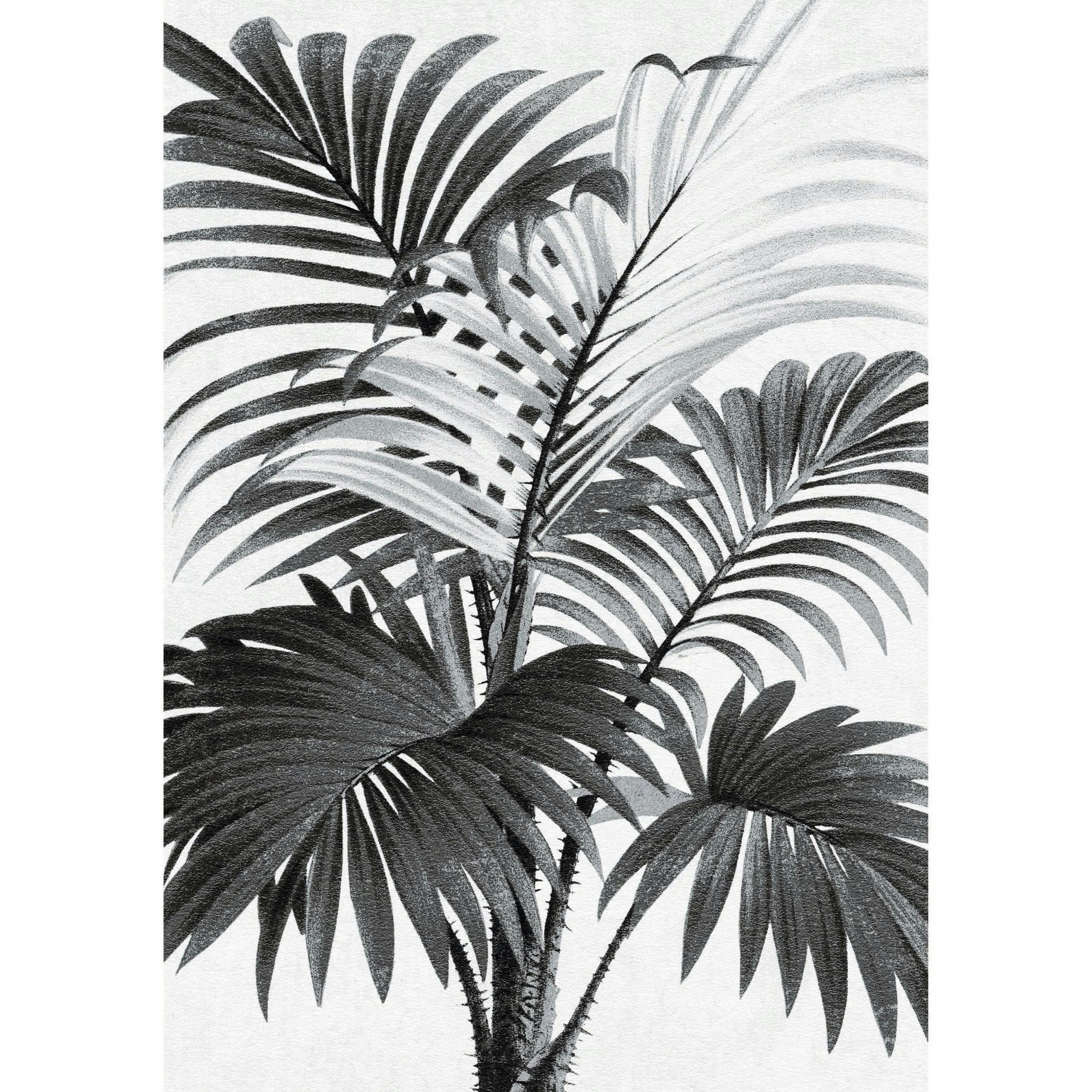 PALMI - Tableau en verre acrylique 50x70 cm