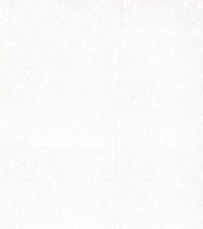 Fabric Traditions Bright White Floral Cotton Fabric by Keepsake Calico