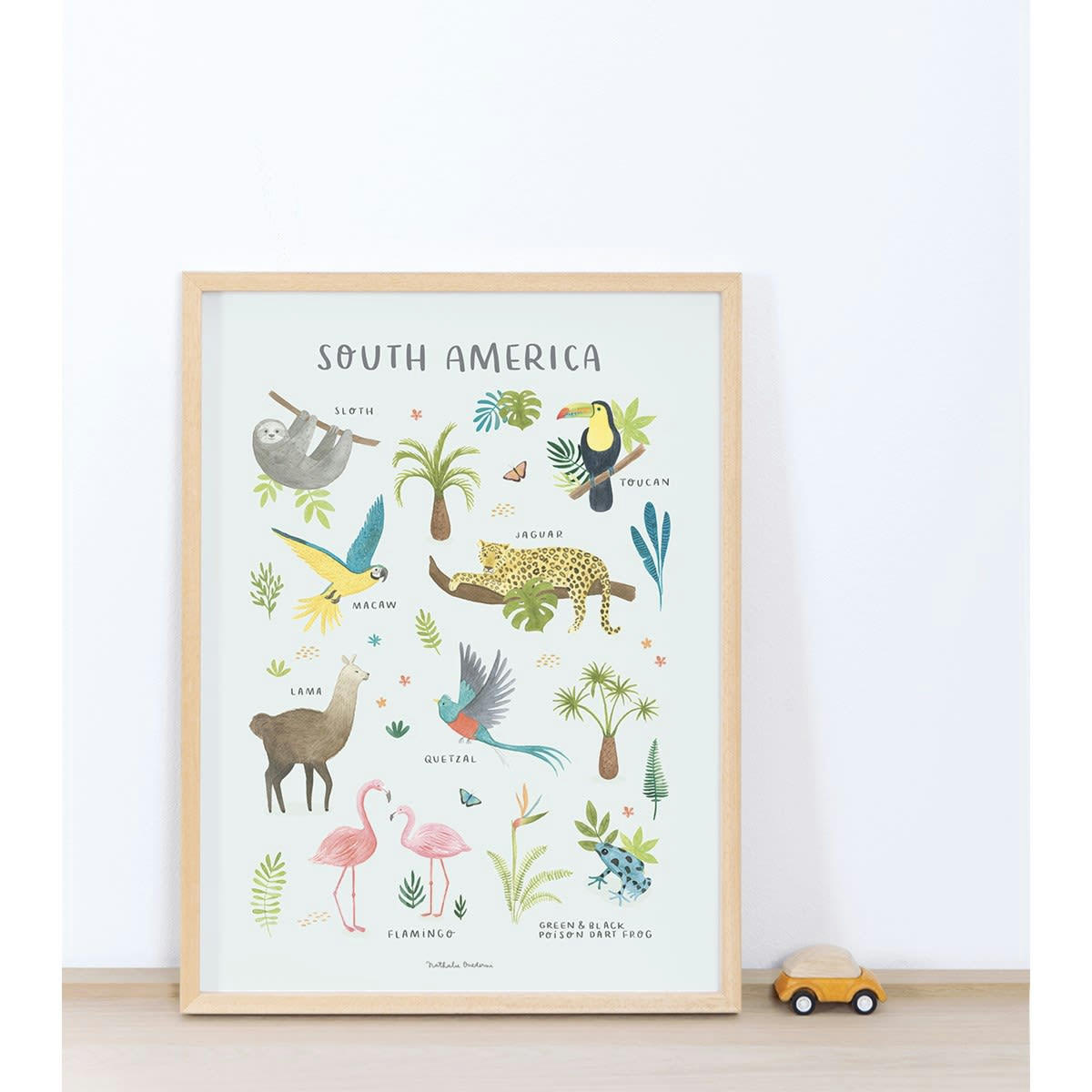 LIVING EARTH - Affiche Animaux d'Amérique du Sud (30 x 40 cm)