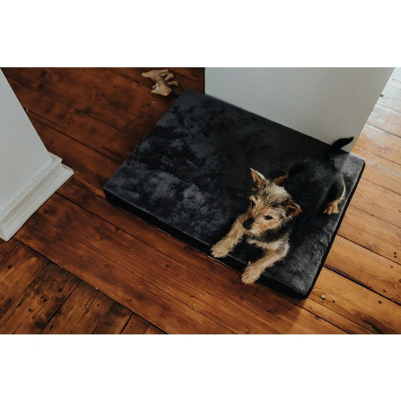 Orthopädische Hundematte, BxL: 65 x 100 cm, schwarz