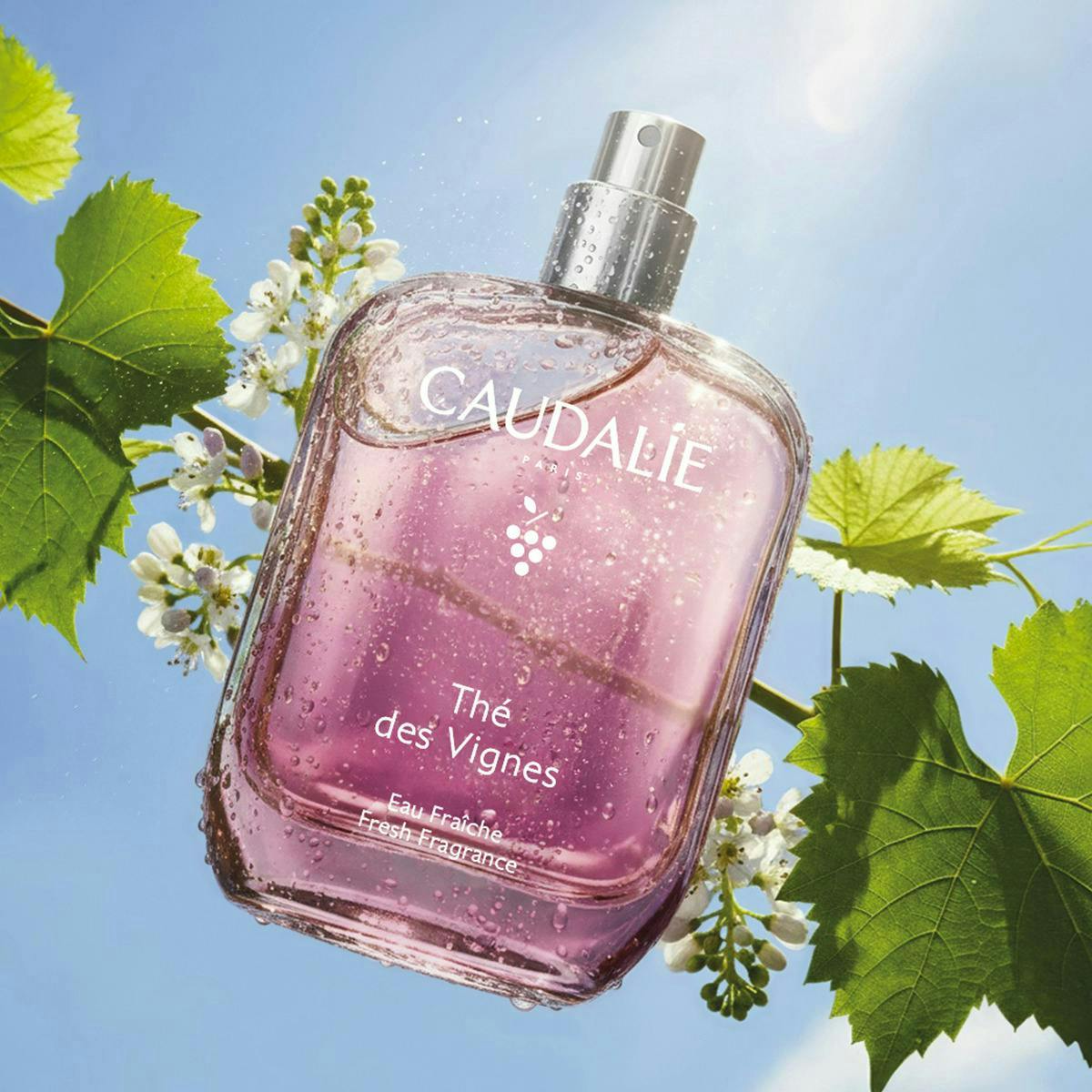 Eau Fraîche Thé des Vignes-50ml