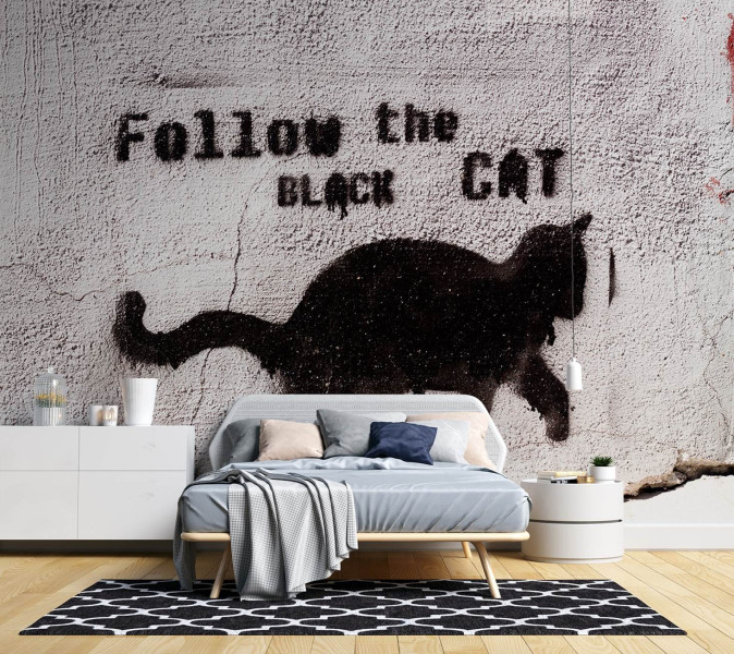 Feeby Fototapeta, Czarny kot follow the black cat beton 150x105