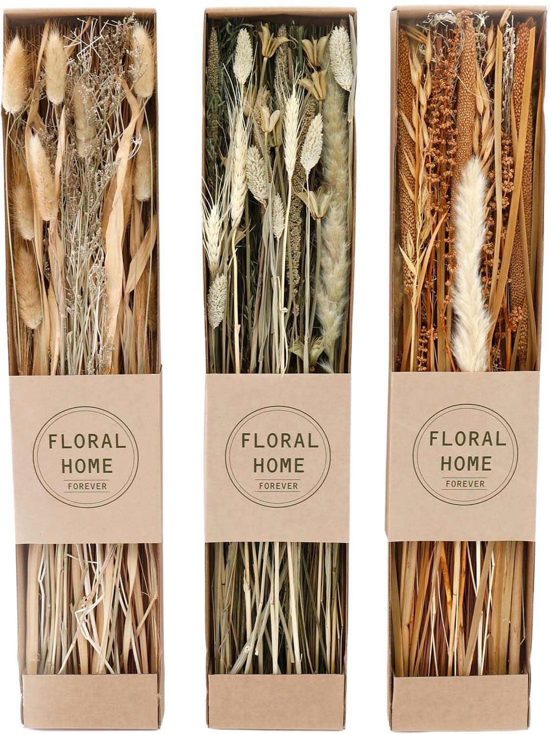 - Fleurs séchées naturelles 60 cm forever (lot de 3)