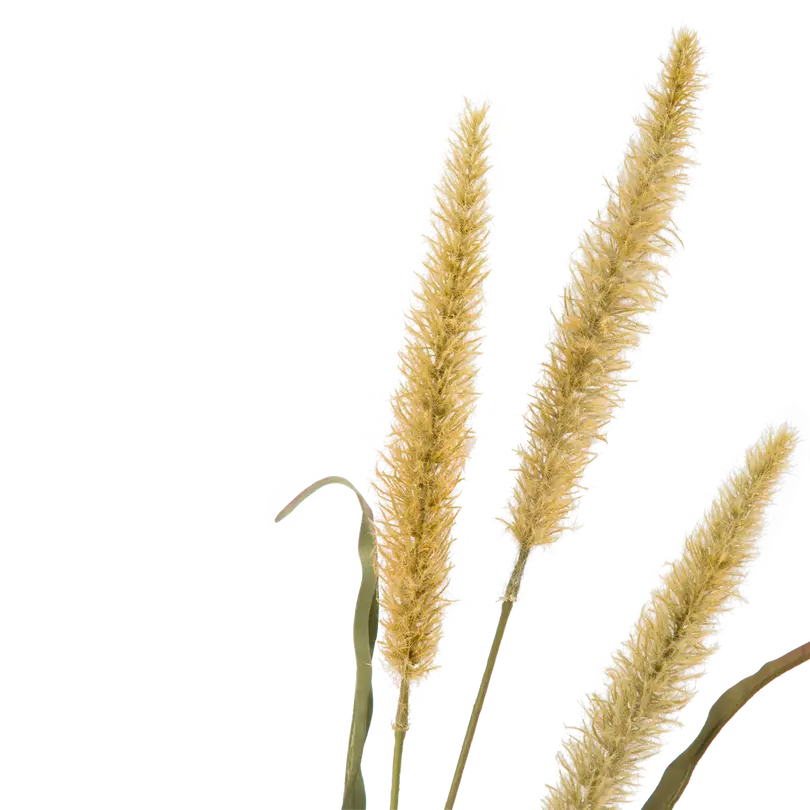 Dekozweig Dried-Grass