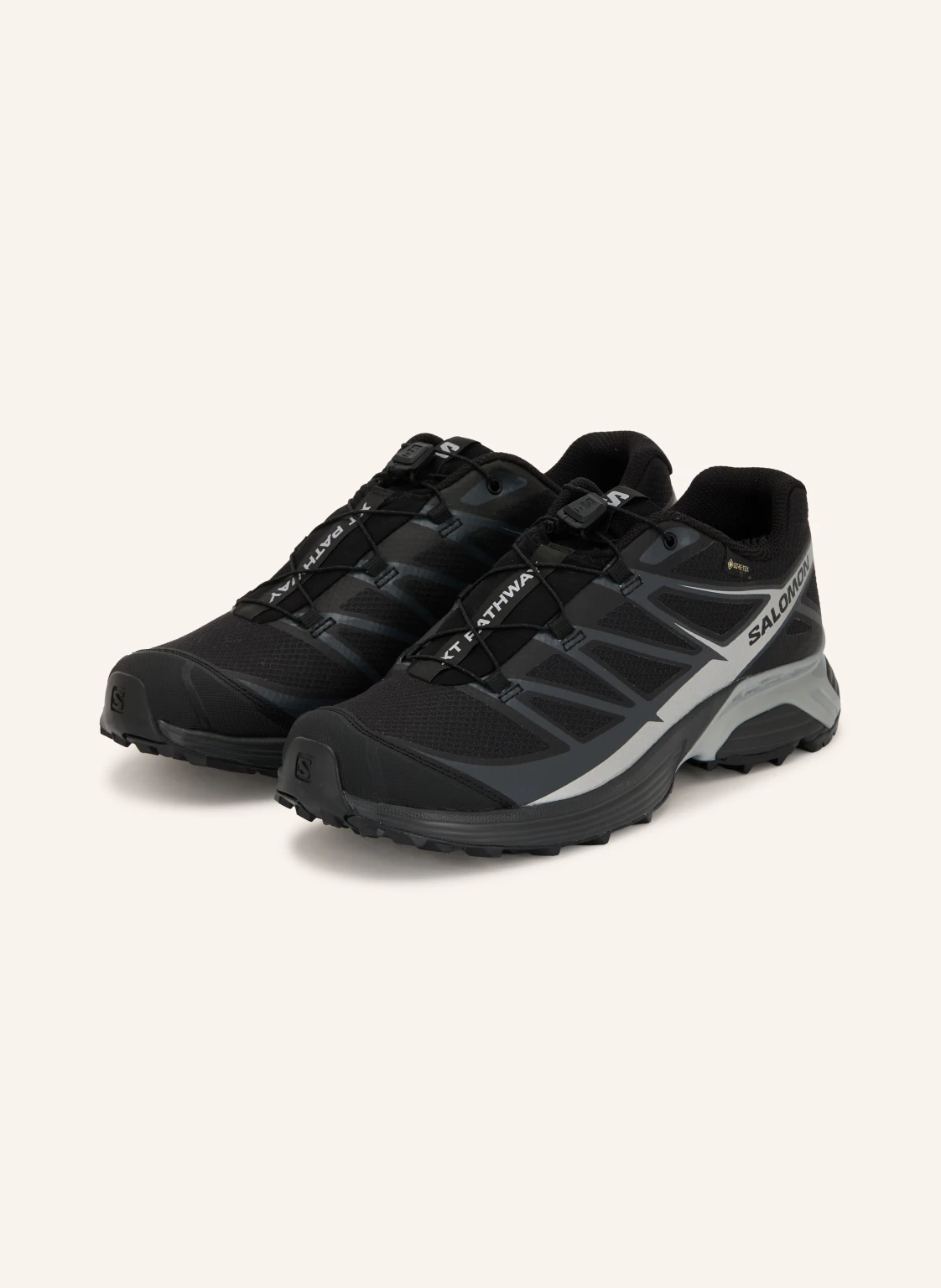 SALOMON Sneaker XT-PATHWAY GTX