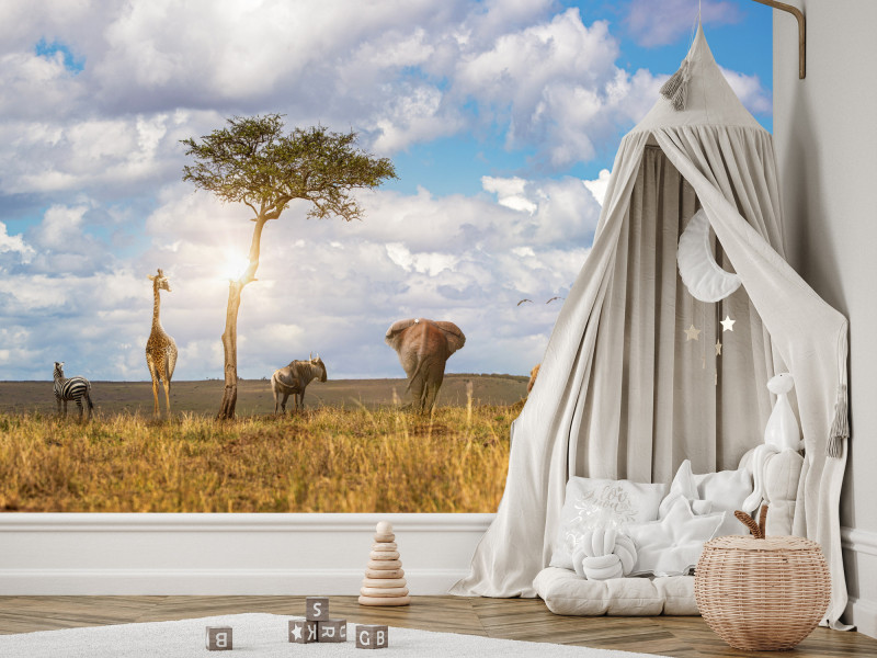 Fototapeta Spacerujące zwierzęta safari 100x70cm