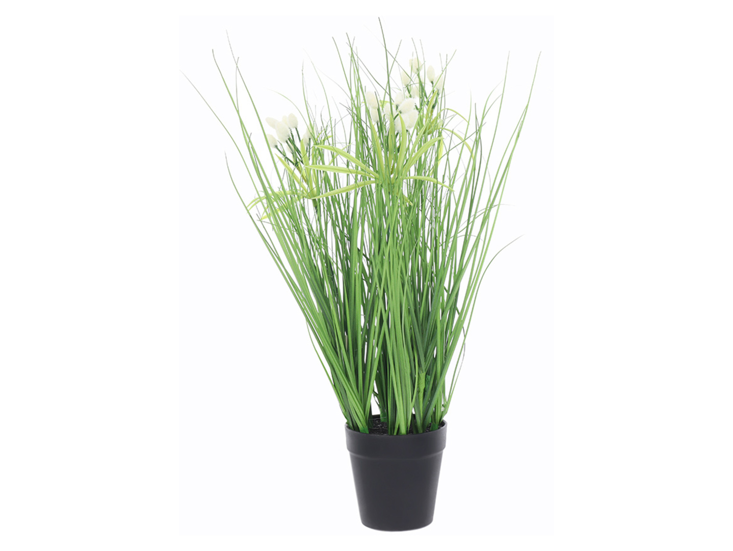 Trawa w doniczce 45 cm