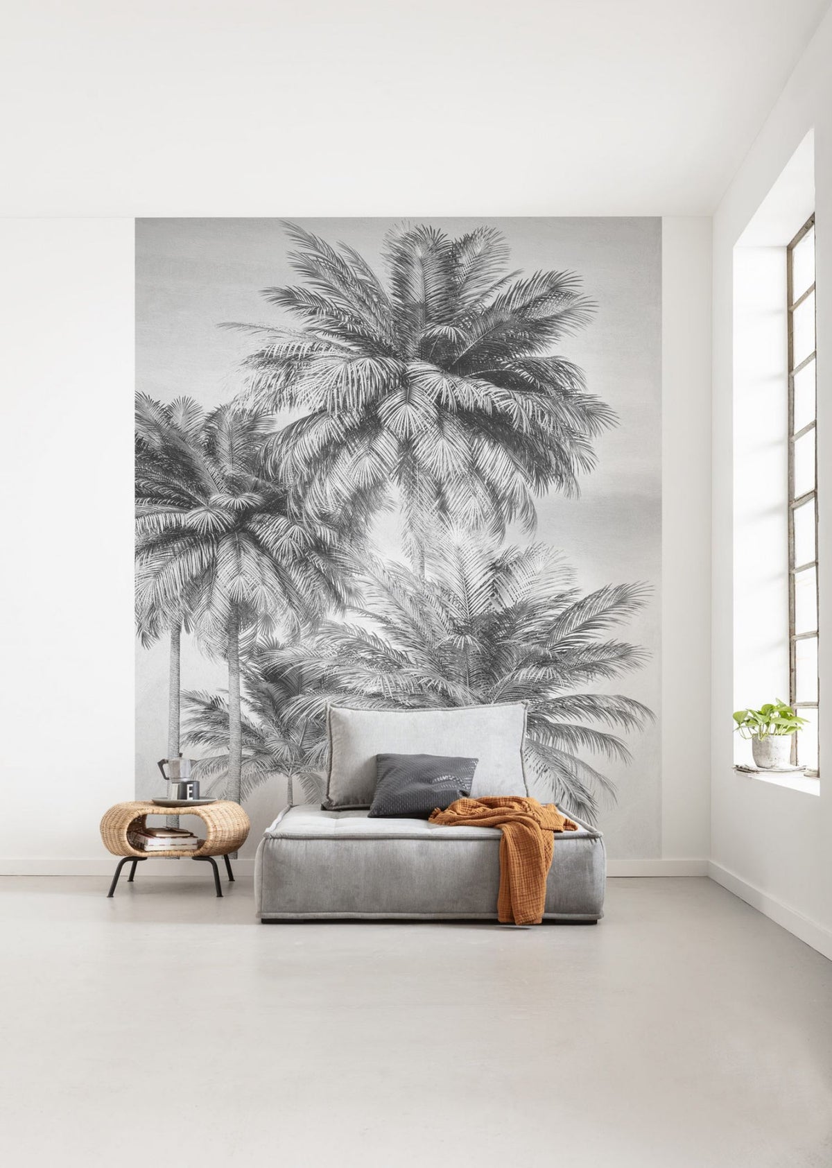 Komar fotobehang palmbomen zwart wit - 200 x 250 cm - 611621