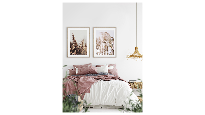 Obraz w ramie Pampas Grass Of The Wind No. 1 53x73 cm