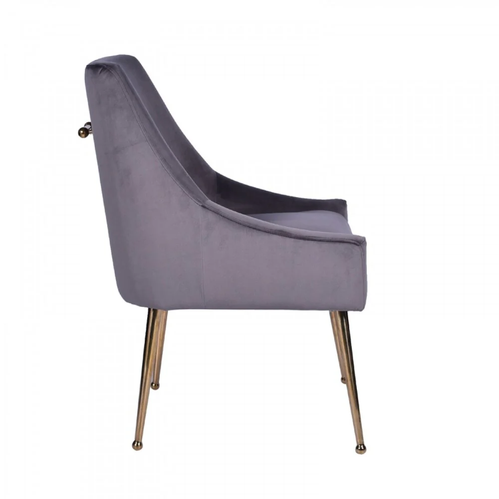 Modrest Castana Modern Grey Velvet & Gold Dining Chair (Set of 2)