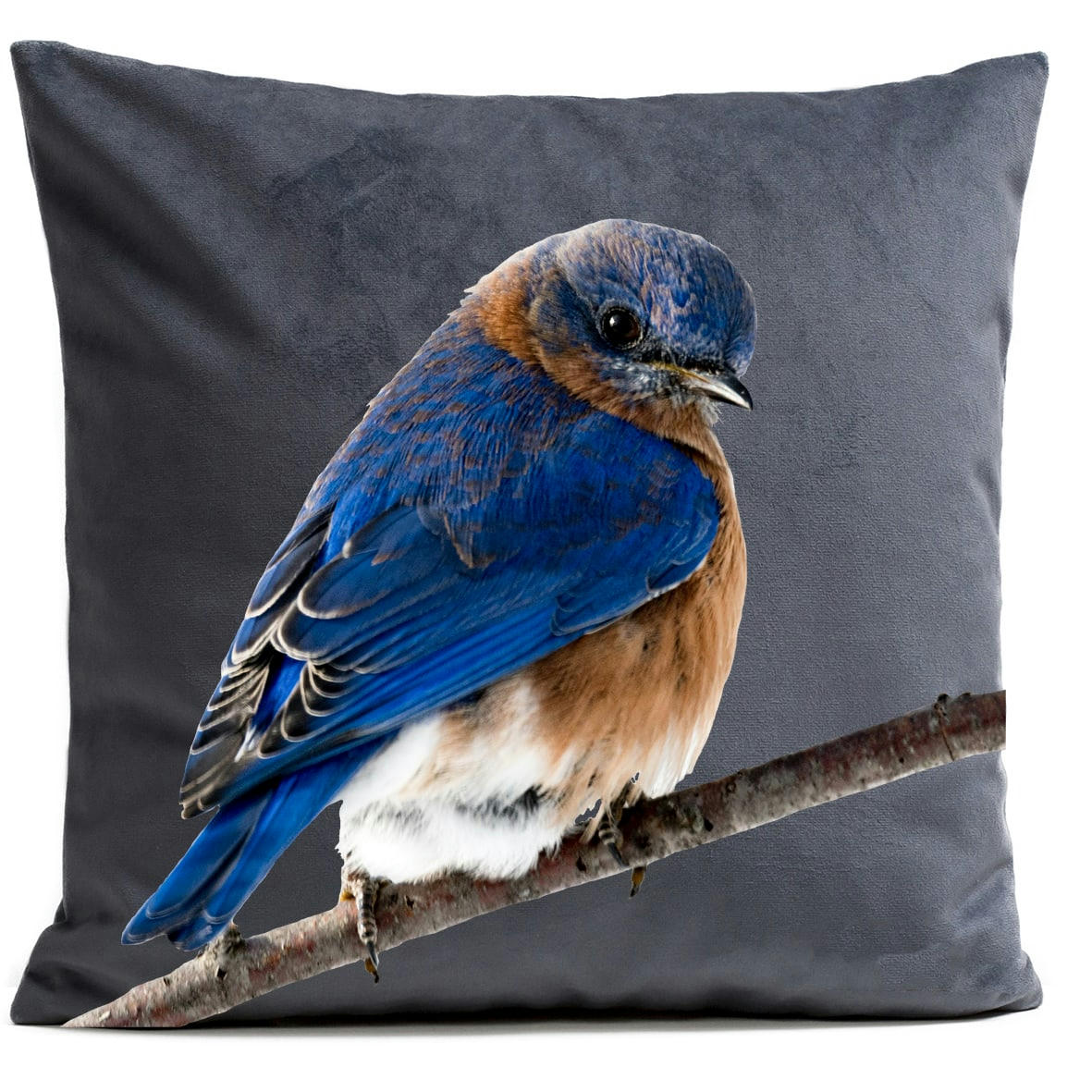 - Coussin campagne oiseau suédine gris 40x40cm