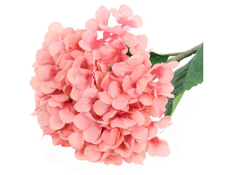 Hortensja pojedyncza 54 cm różowa