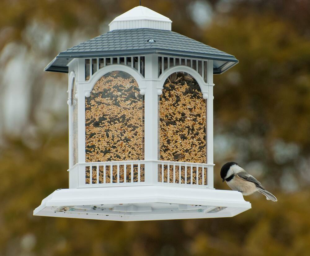 Panacea Deluxe Jumbo Plastic Gazebo Outdoor Bird Feeder, 10-lb, 12 x 12 x 12-in