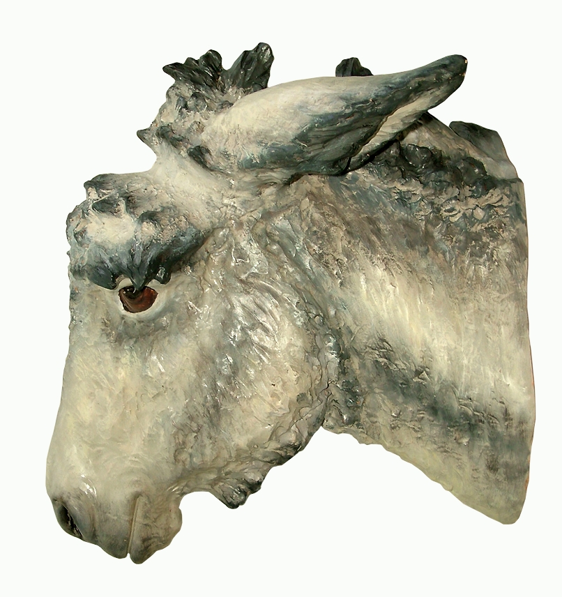 Cabeça Burro