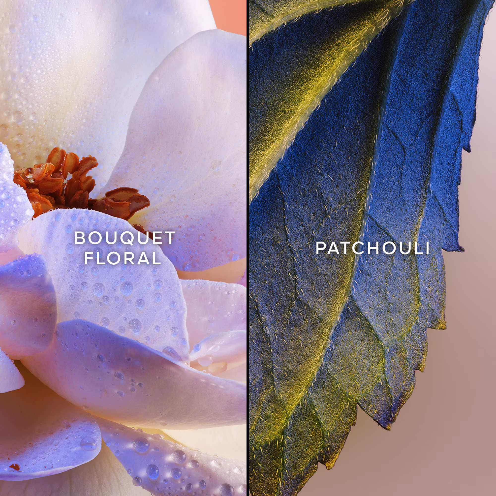 IDYLLEEau de parfum