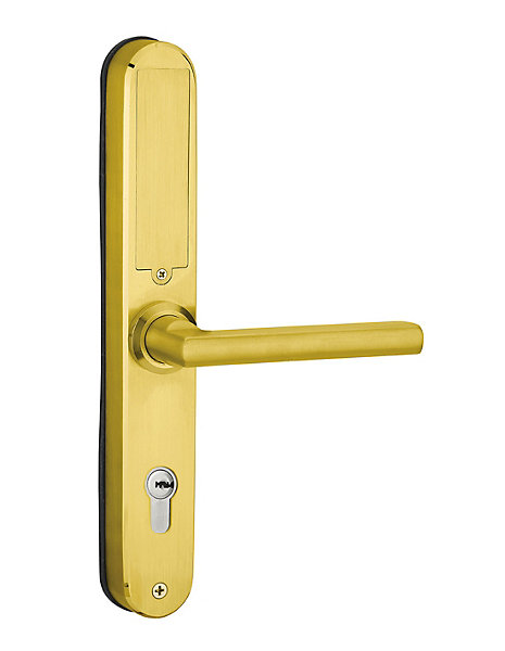 Paire de poignées connectées Intelock Multi, pour porte d'entrée, entr'axes 70mm, dorée - INTELOCK