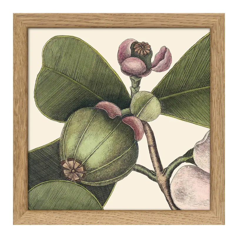 Bild mit Rahmen Botanical