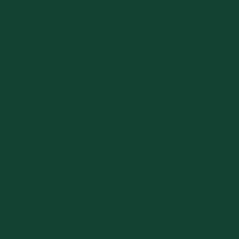 Peinture multisupports Déco vert mousse satin 0,4 L INVENTIV