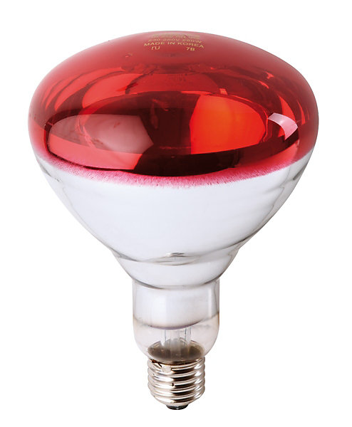 Ampoule PHILIPS IR à vis rouge 250W