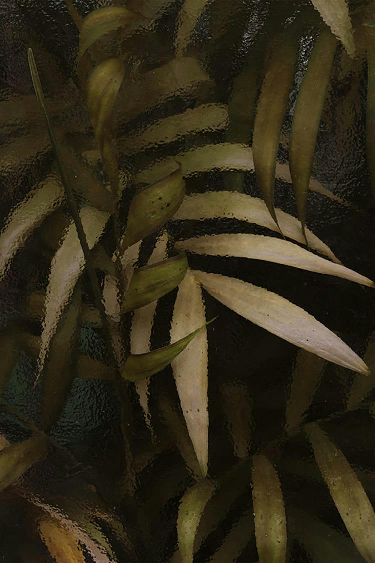 ABYSSES - Photographie d'art de Zoé Pignolet 60x90 cm sur alu