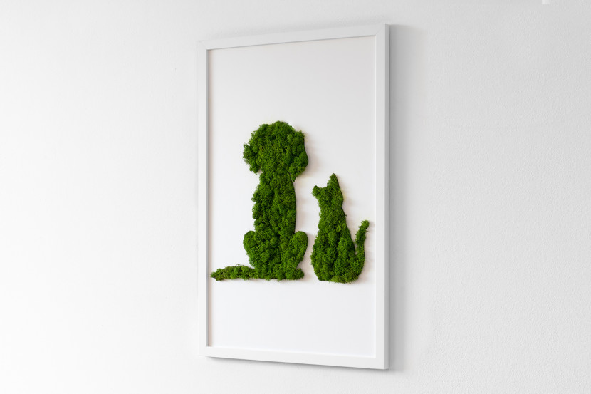 Obraz z mchem - Pies z kotem 40x60 cm Biała Rama