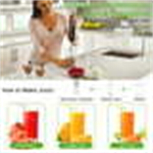 12-Speed Multi-Function Handheld Stick Blender