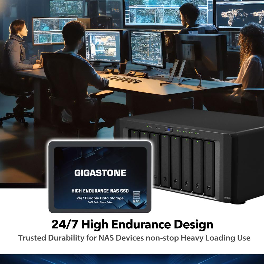 Gigastone 【NAS Certified】 High Endurance SSD 1TB (2-Pack) Up to 550MB/s TLC Flash with SLC Caching 24/7 Reliable for Gaming/PC/NAS SSD 5-Year Warranty 2.5 SATA Internal Solid State Drives RAID Disk