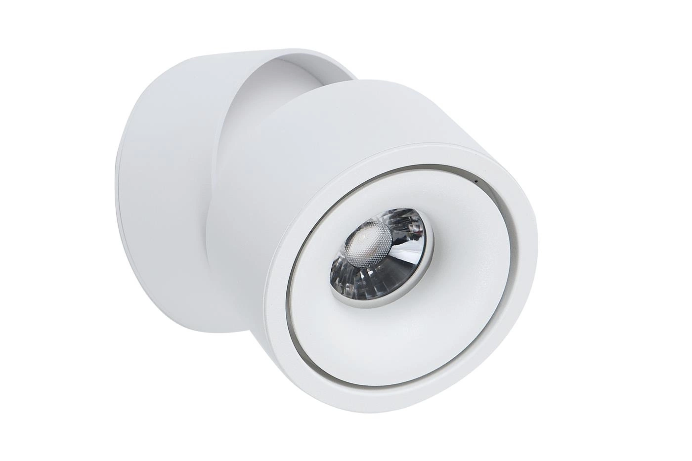 Plafon Lampa Sufitowa GAMBO LED 360° Odchylany Obrotowy 10 cm Biały